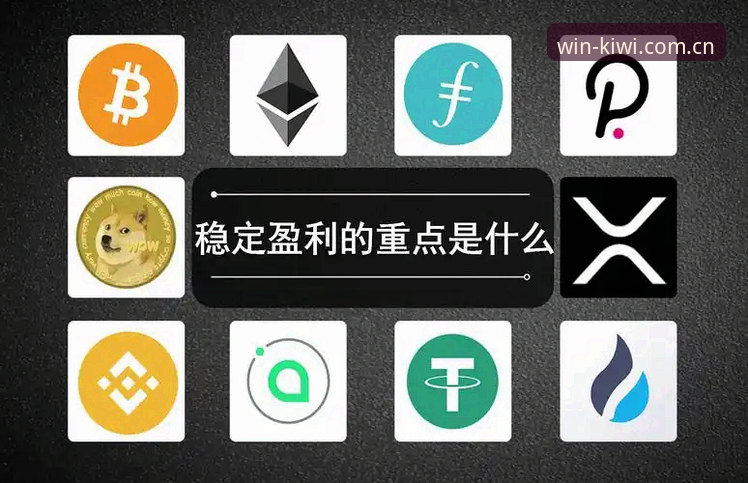 奇异果买球新手攻略最新动态：从零基础到稳定盈利的实战路径解析